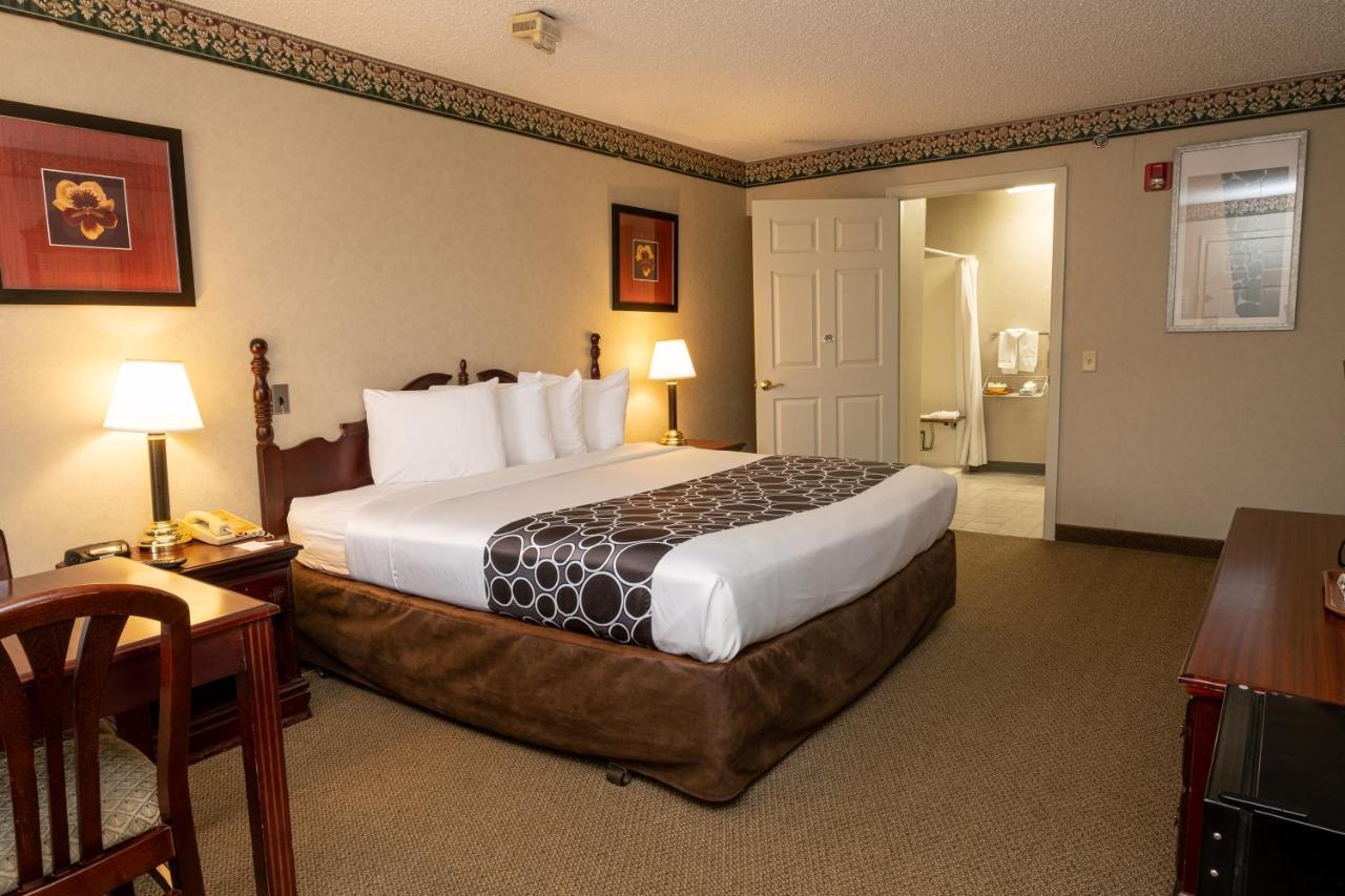 Single Room - Disability Access