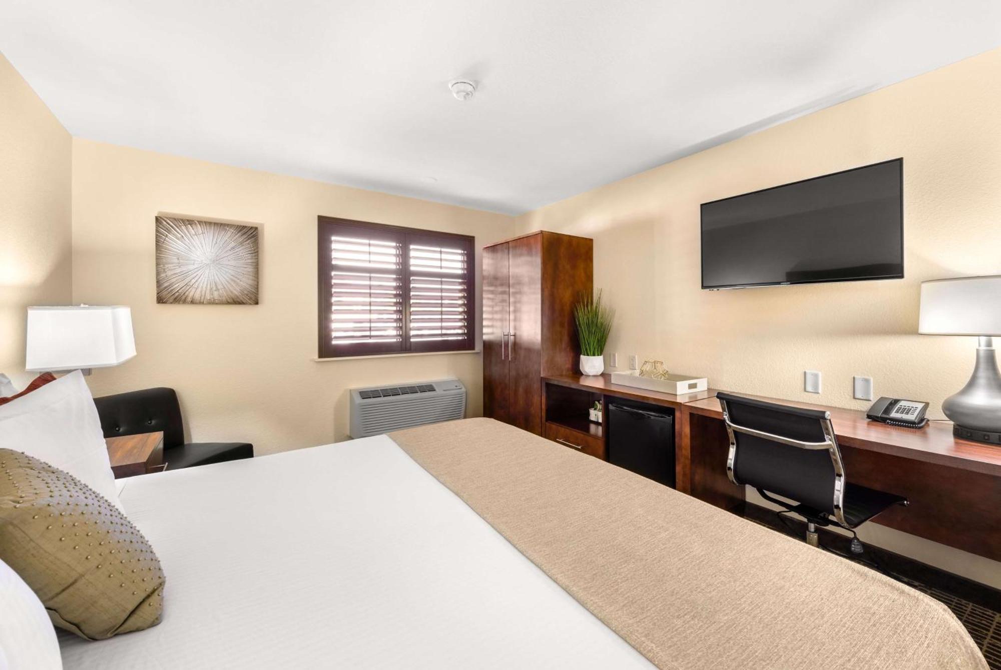 Habitación con 1 cama extragrande y para personas con movilidad reducida - No fumadores