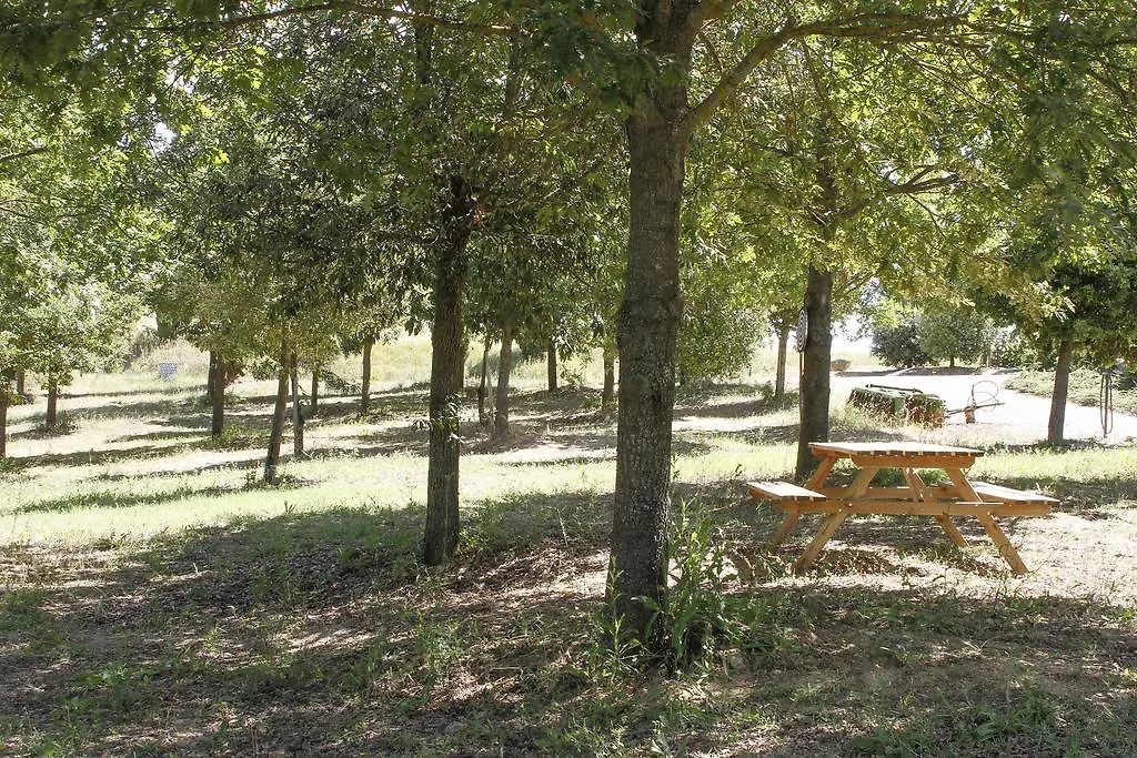 Agriturismo Il Casino-1