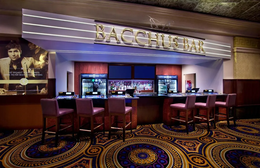 Caesars Windsor Hotel&Casino - A Caesars Rewards Destination-1