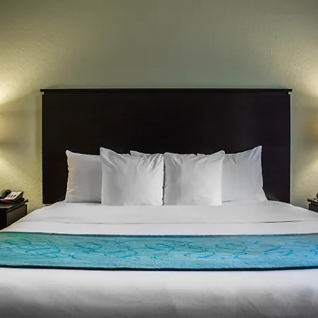 Hampton Inn By Hilton Tampa Fairgrounds Casino-3