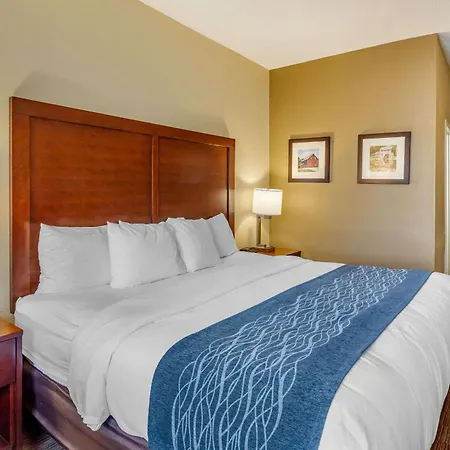 Comfort Inn Rockford Near Casino District-2