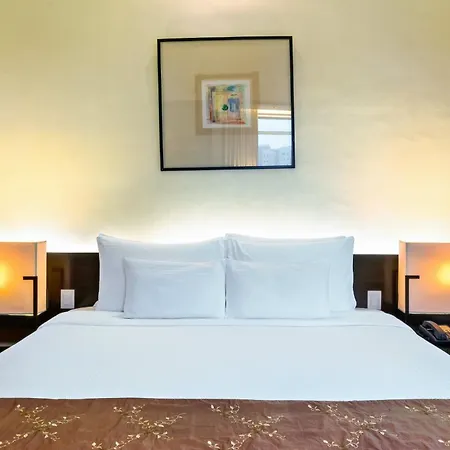 Waterfront Cebu City Hotel & Casino-3