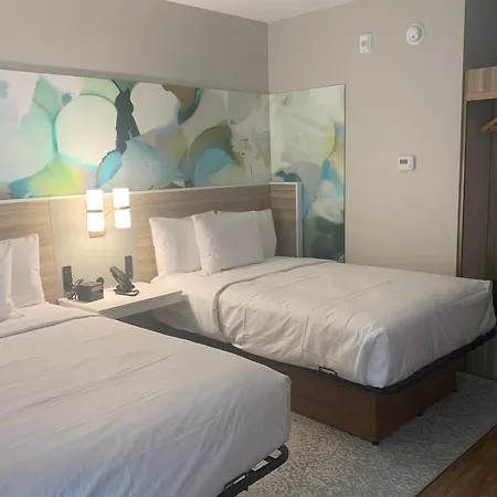 Wyndham Garden Tampa Fairgrounds/Casino-3