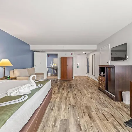 Quality Inn & Suites Tampa Near Fairgrounds And Casino-2