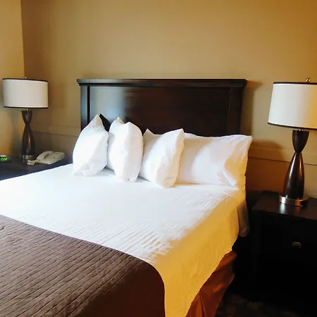 Niwas Inn-3