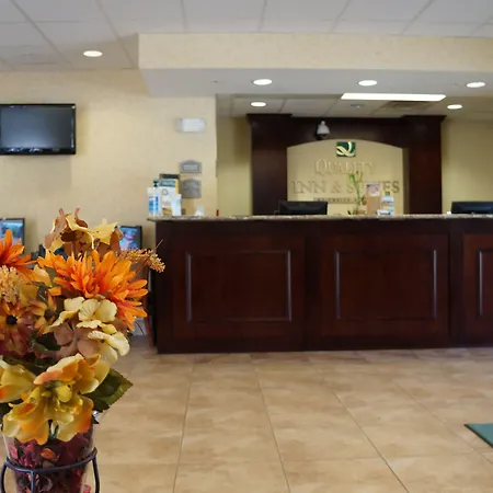 Quality Inn & Suites Tampa Near Fairgrounds And Casino-3