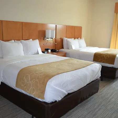 Comfort Suites Bossier City - Shreveport East-2