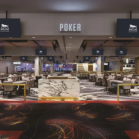 Mgm National Harbor-3
