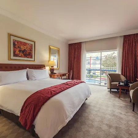 Carnival Club Hotel-2
